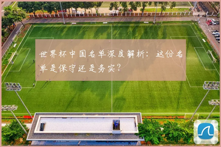世界杯中国名单深度解析:这份名单是保守还是务实?