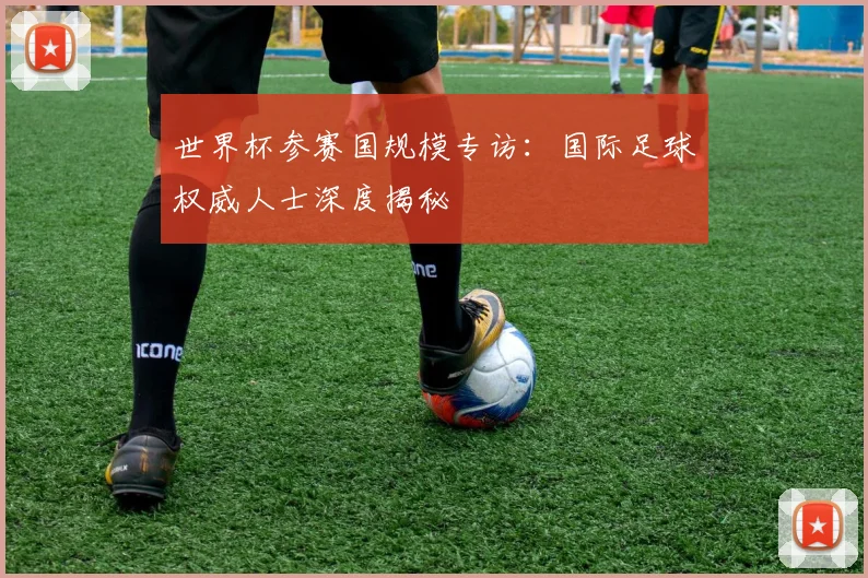 世界杯参赛国规模专访:国际足球权威人士深度揭秘