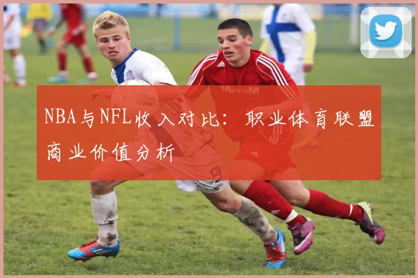 NBA与NFL收入对比：职业体育联盟商业价值分析