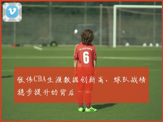 张伟CBA生涯数据创新高，球队战绩稳步提升的背后
