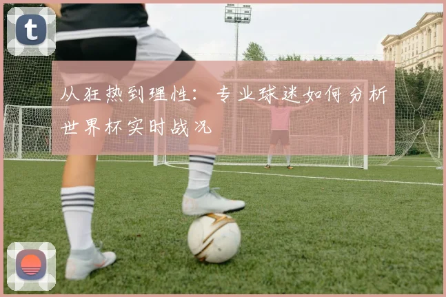 从狂热到理性：专业球迷如何分析世界杯实时战况