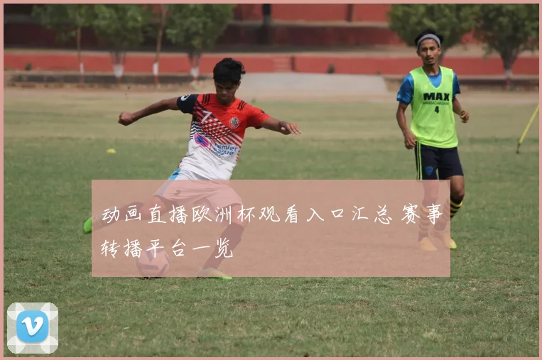 动画直播欧洲杯观看入口汇总 赛事转播平台一览
