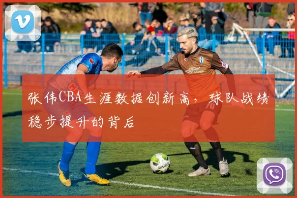 张伟CBA生涯数据创新高，球队战绩稳步提升的背后