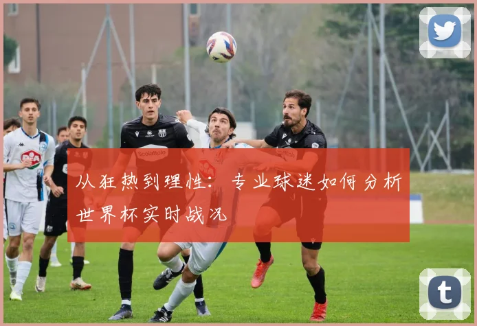 从狂热到理性：专业球迷如何分析世界杯实时战况