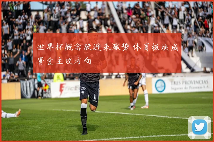 世界杯概念股迎来涨势 体育板块成资金主攻方向