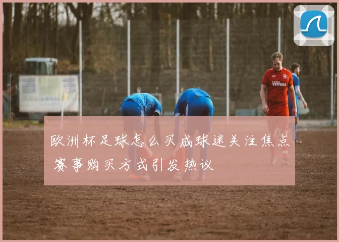 欧洲杯足球怎么买成球迷关注焦点 赛事购买方式引发热议